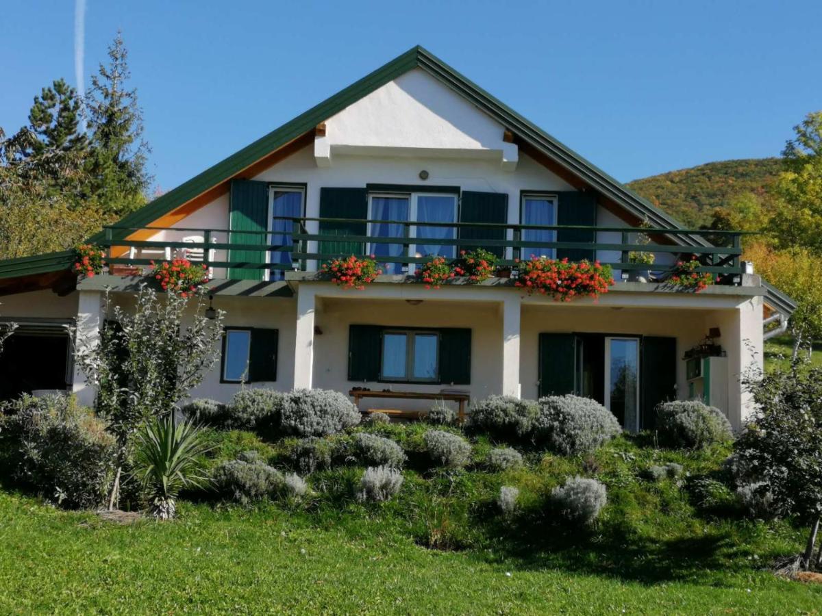 Apartment Ajda Udbina Kültér fotó